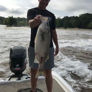 Meet your Posher, Zach